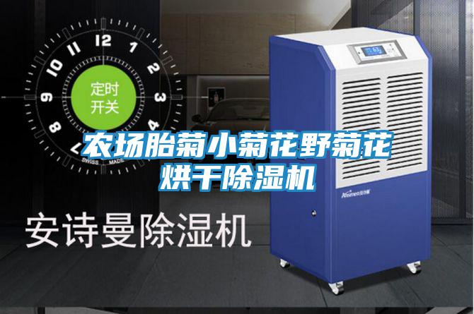 農(nóng)場(chǎng)胎菊小菊花野菊花烘干除濕機(jī)