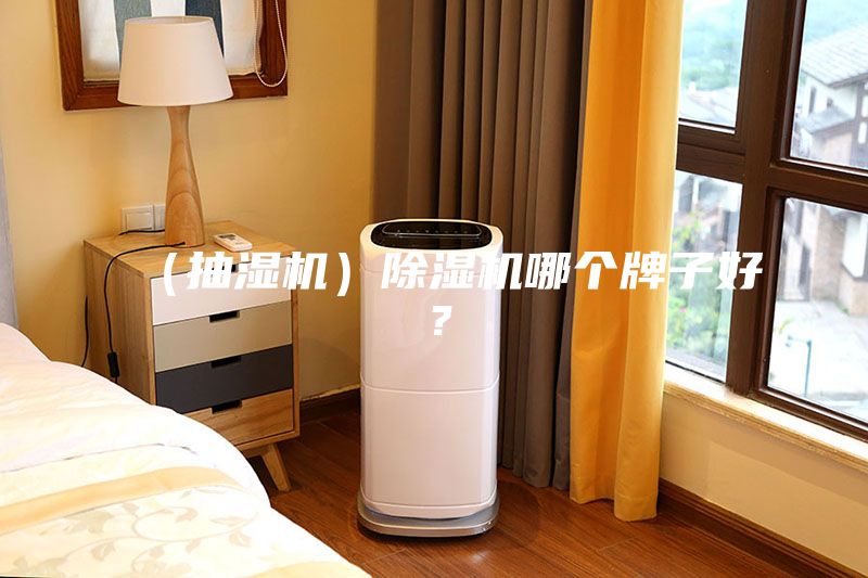 （抽濕機(jī)）除濕機(jī)哪個(gè)牌子好？