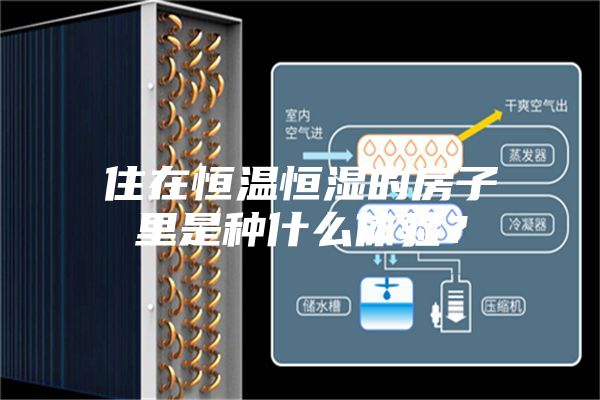 住在恒溫恒濕的房子里是種什么體驗？