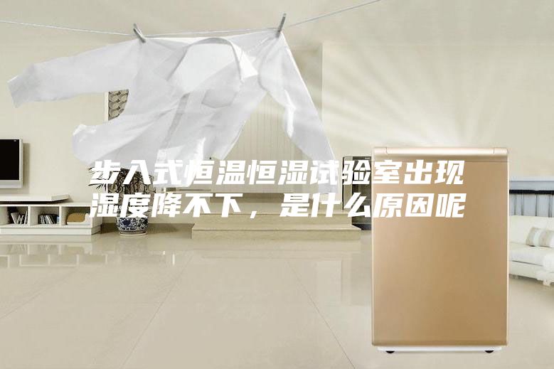 步入式恒溫恒濕試驗(yàn)室出現(xiàn)濕度降不下，是什么原因呢