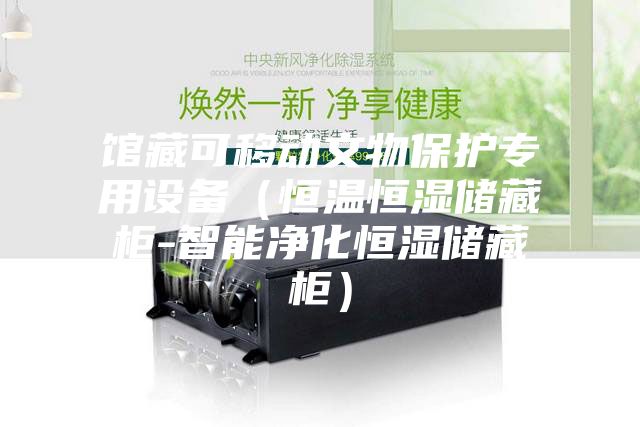 館藏可移動(dòng)文物保護(hù)專(zhuān)用設(shè)備（恒溫恒濕儲(chǔ)藏柜-智能凈化恒濕儲(chǔ)藏柜）