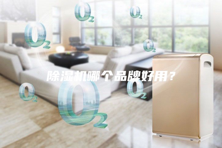 除濕機(jī)哪個(gè)品牌好用？