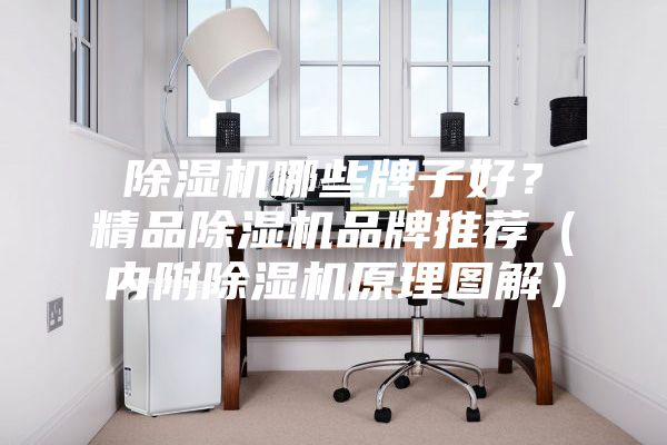 除濕機(jī)哪些牌子好？精品除濕機(jī)品牌推薦（內(nèi)附除濕機(jī)原理圖解）