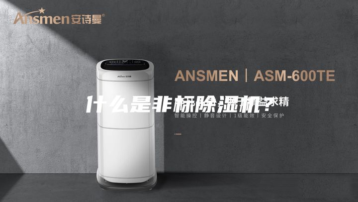 什么是非標(biāo)除濕機(jī)？