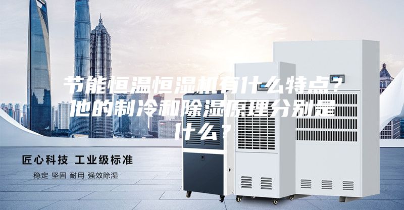 節(jié)能恒溫恒濕機有什么特點？他的制冷和除濕原理分別是什么？
