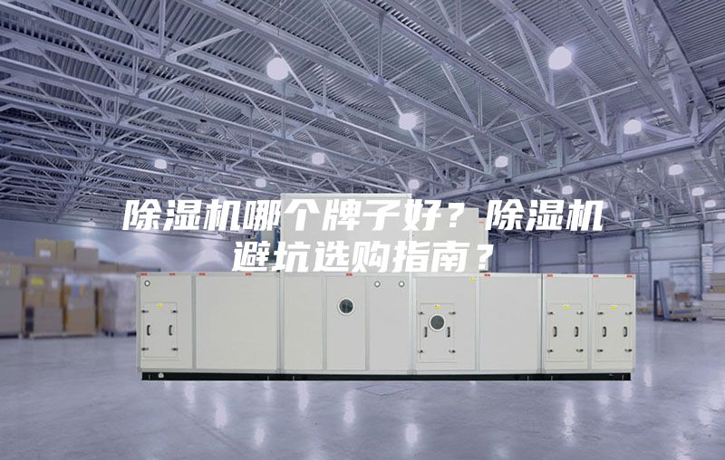 除濕機(jī)哪個(gè)牌子好？除濕機(jī)避坑選購(gòu)指南？