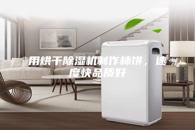 用烘干除濕機制作柿餅，速度快品質(zhì)好