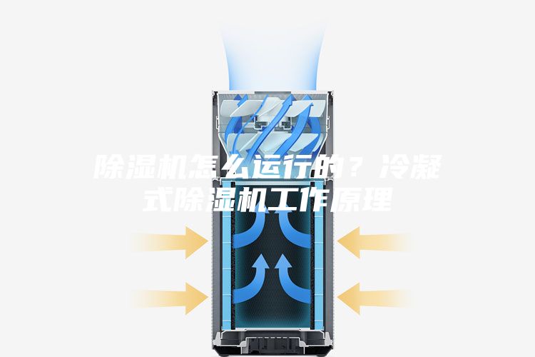 除濕機怎么運行的？冷凝式除濕機工作原理