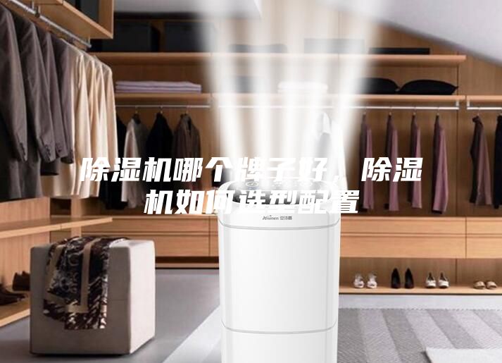 除濕機(jī)哪個(gè)牌子好，除濕機(jī)如何選型配置