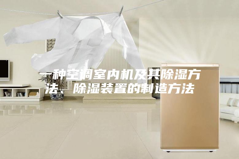 一種空調(diào)室內(nèi)機及其除濕方法、除濕裝置的制造方法