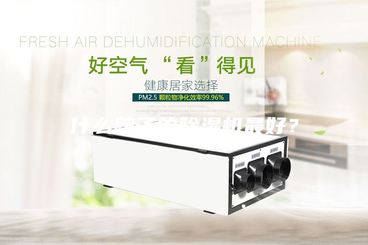 什么牌子的除濕機(jī)最好？