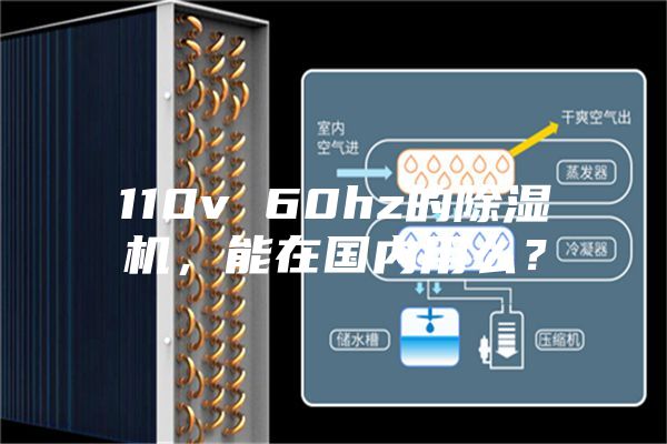 110v 60hz的除濕機，能在國內(nèi)用么？