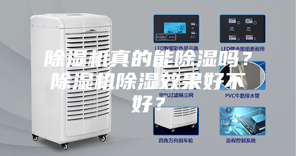 除濕機真的能除濕嗎？除濕機除濕效果好不好？