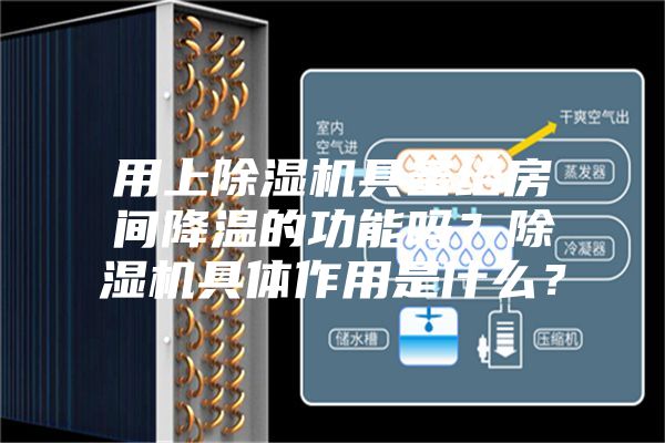 用上除濕機具備給房間降溫的功能嗎？除濕機具體作用是什么？