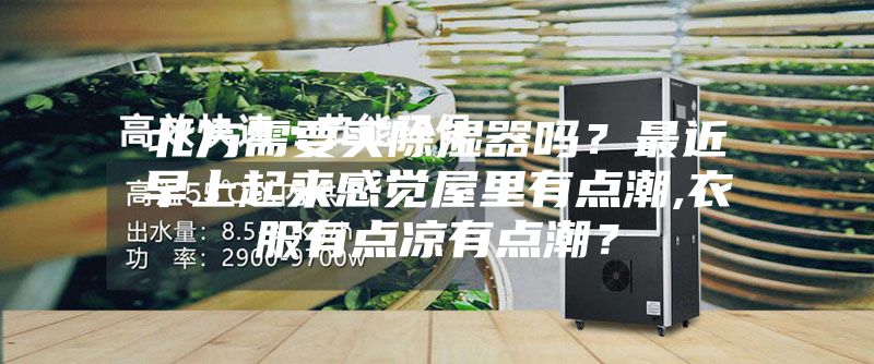 北方需要買除濕器嗎？最近早上起來感覺屋里有點潮,衣服有點涼有點潮？
