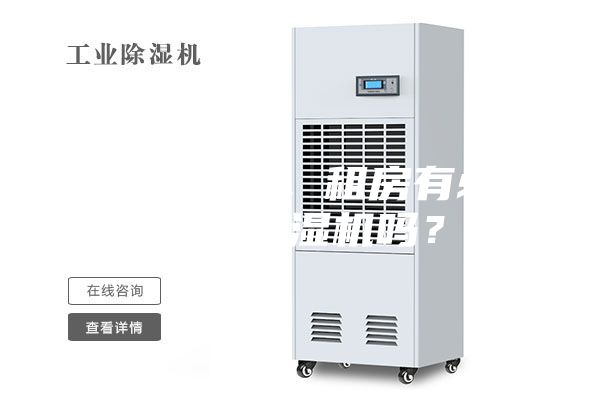 初到南方，租房有必要買除濕機(jī)嗎？