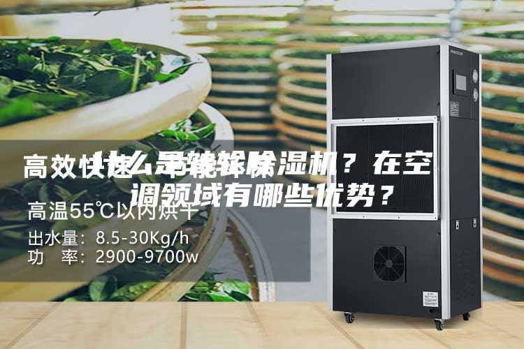 什么是轉(zhuǎn)輪除濕機(jī)？在空調(diào)領(lǐng)域有哪些優(yōu)勢(shì)？
