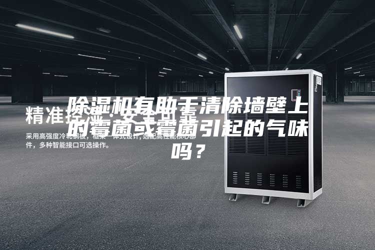 除濕機(jī)有助于清除墻壁上的霉菌或霉菌引起的氣味嗎？