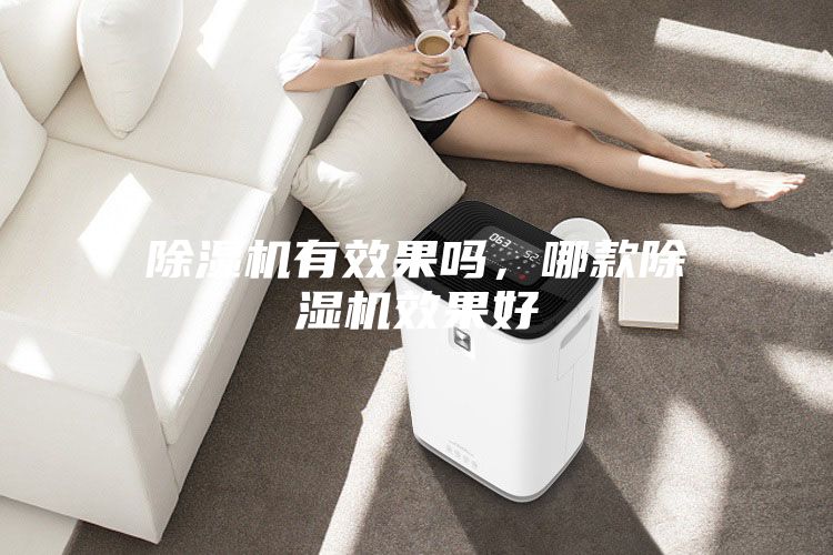 除濕機有效果嗎，哪款除濕機效果好