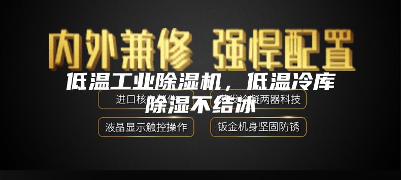 低溫工業(yè)除濕機(jī)，低溫冷庫(kù)除濕不結(jié)冰