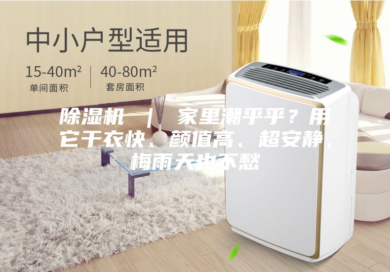 除濕機(jī) ｜ 家里潮乎乎？用它干衣快、顏值高、超安靜，梅雨天也不愁