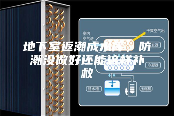 地下室返潮成水庫，防潮沒做好還能這樣補救