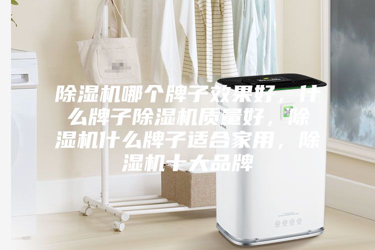 除濕機哪個牌子效果好，什么牌子除濕機質(zhì)量好，除濕機什么牌子適合家用，除濕機十大品牌