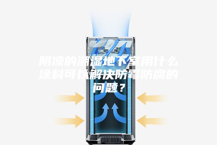 陰涼的潮濕地下室用什么涂料可以解決防霉防腐的問題？