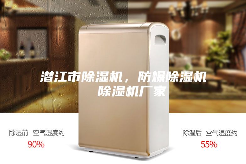 潛江市除濕機(jī)，防爆除濕機(jī)  除濕機(jī)廠(chǎng)家