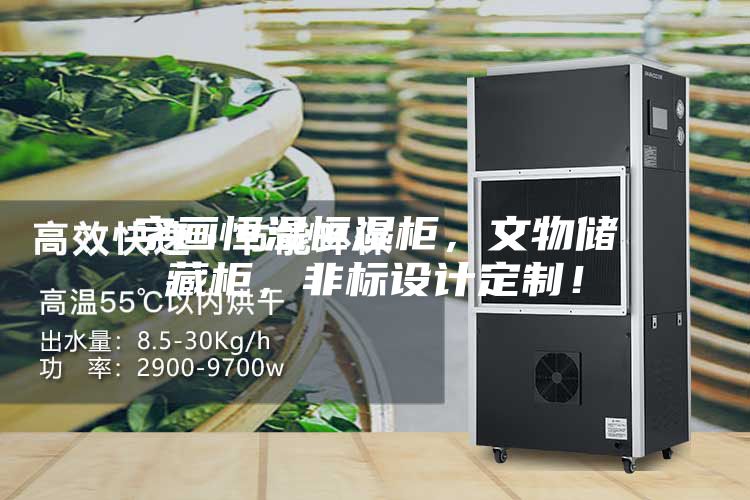 字畫恒溫恒濕柜，文物儲藏柜，非標設(shè)計定制！