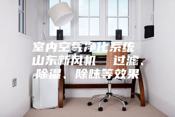 室內空氣凈化系統(tǒng) 山東新風機  過濾、除濕、除味等效果