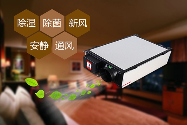 出梅？再等等，在家該如何防潮除濕？