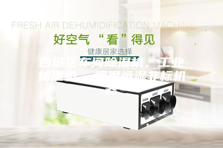 西城區(qū)車間除濕機，工業(yè)抽濕機  恒溫恒濕非標機器