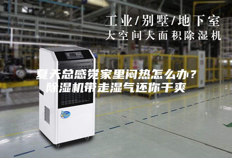 夏天總感覺(jué)家里悶熱怎么辦？除濕機(jī)帶走濕氣還你干爽