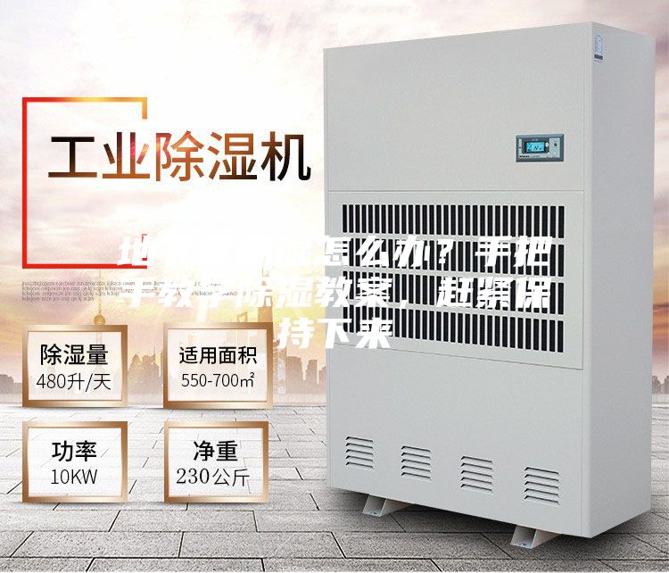 地下室潮濕怎么辦？手把手教學(xué)除濕教案，趕緊保持下來(lái)