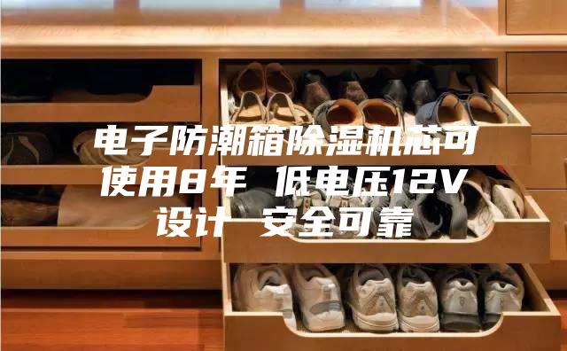 電子防潮箱除濕機芯可使用8年 低電壓12V設(shè)計 安全可靠