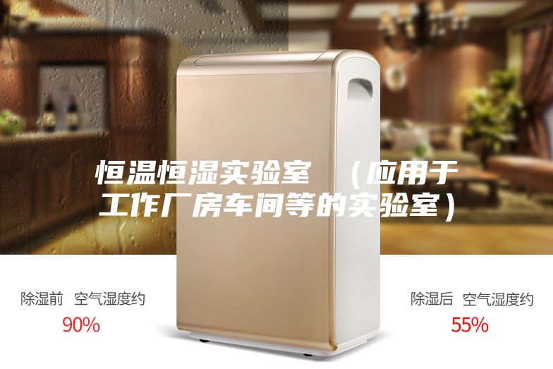恒溫恒濕實驗室 （應(yīng)用于工作廠房車間等的實驗室）