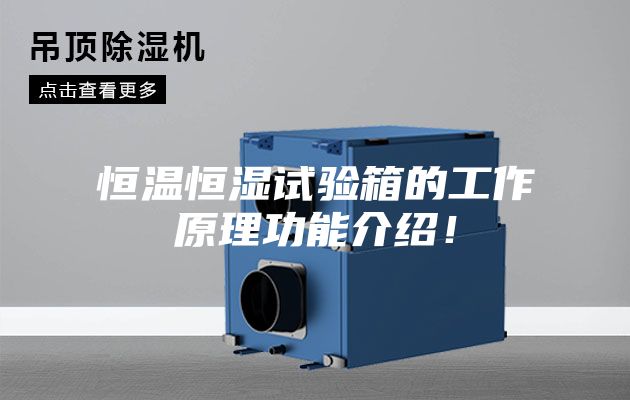 恒溫恒濕試驗箱的工作原理功能介紹！