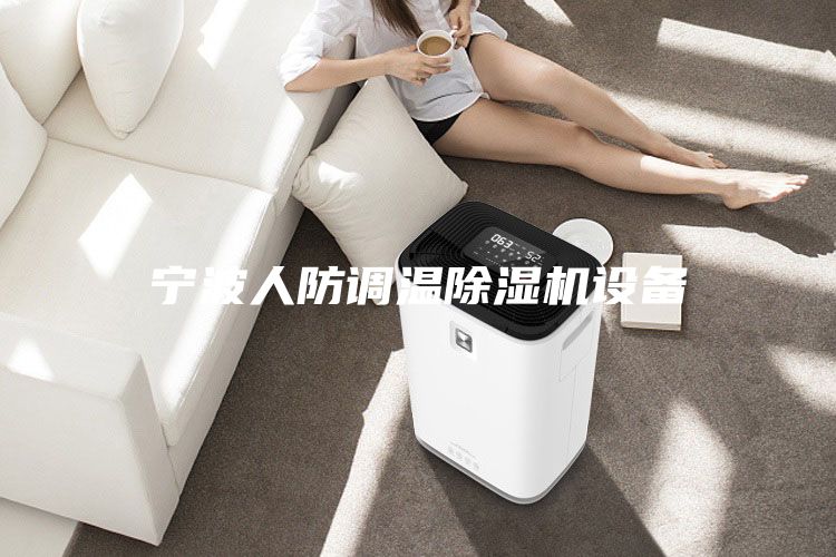 寧波人防調(diào)溫除濕機設(shè)備