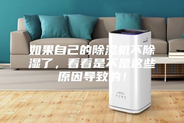 如果自己的除濕機(jī)不除濕了，看看是不是這些原因?qū)е碌模?></div>
								<div   id=
