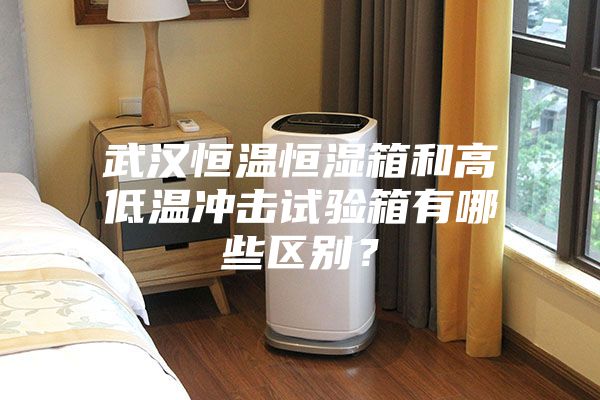 武漢恒溫恒濕箱和高低溫沖擊試驗(yàn)箱有哪些區(qū)別？