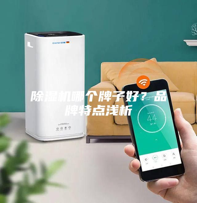除濕機哪個牌子好？品牌特點淺析