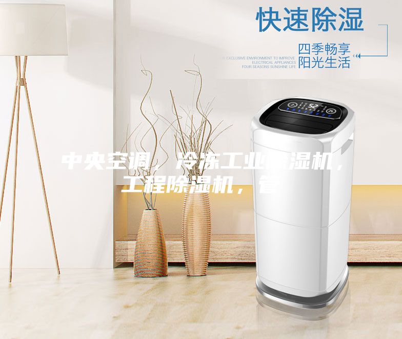 中央空調(diào)，冷凍工業(yè)除濕機，工程除濕機，管