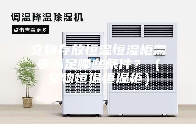文物存放恒溫恒濕柜需要滿足哪些條件？（文物恒溫恒濕柜）