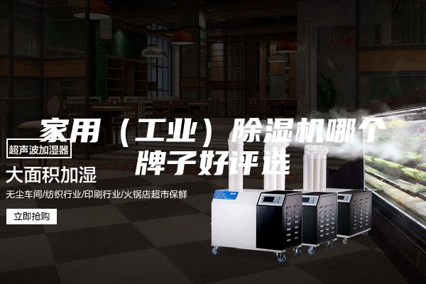 家用（工業(yè)）除濕機(jī)哪個(gè)牌子好評(píng)選
