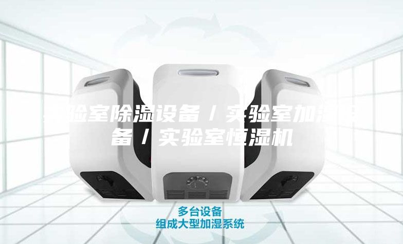 實驗室除濕設(shè)備/實驗室加濕設(shè)備/實驗室恒濕機