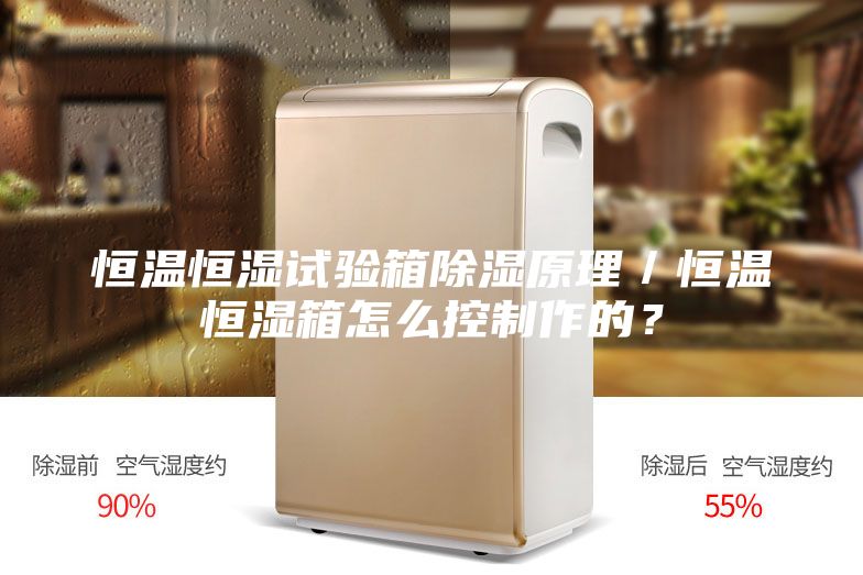 恒溫恒濕試驗箱除濕原理／恒溫恒濕箱怎么控制作的？