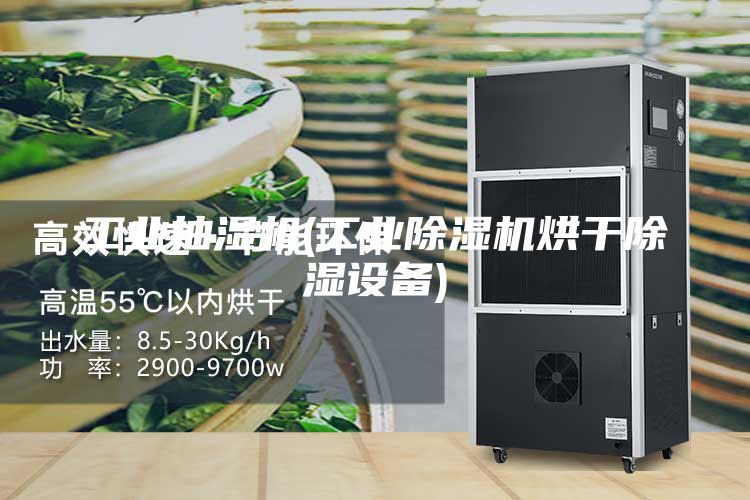 工業(yè)抽濕機(工業(yè)除濕機烘干除濕設(shè)備)