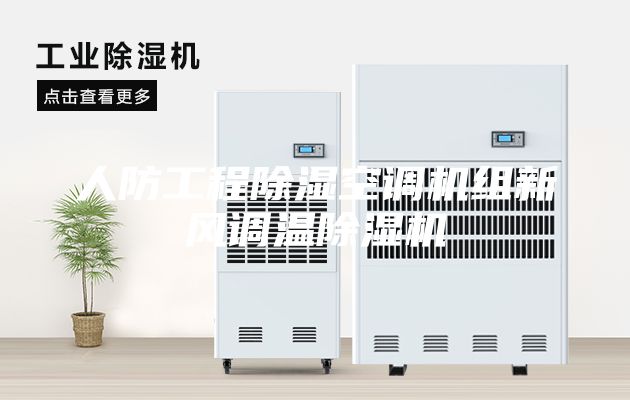 人防工程除濕空調機組新風調溫除濕機