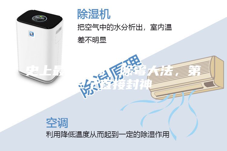 史上最全防潮、除霉大法，第2個直接封神